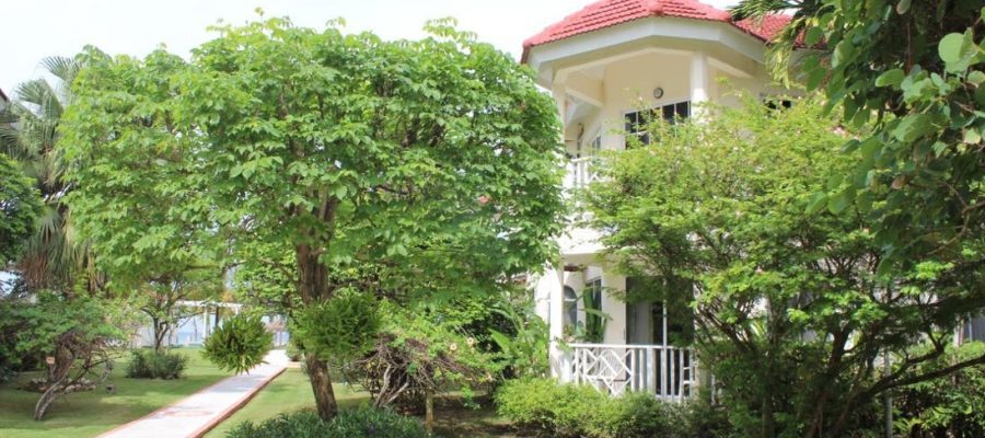 8cab6a92a9576762d882e80001a52bda